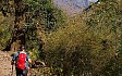 Klicken zum Vergrößern Michi im Langtang